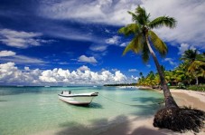 Visite de l'Île Saona