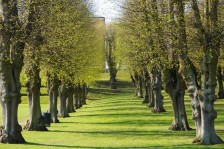 Promenade dans le Parc de Frederiksberg Have