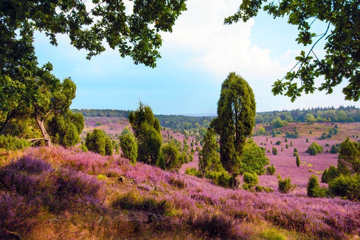 Visite des Landes