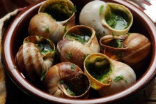 Escargots au beurre d'ail