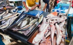 Découverte du Marché Marsaxlokk