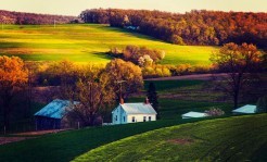 Visite du Pays Amish