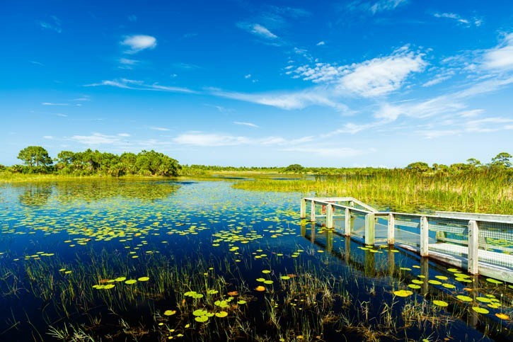 Visite des Everglades