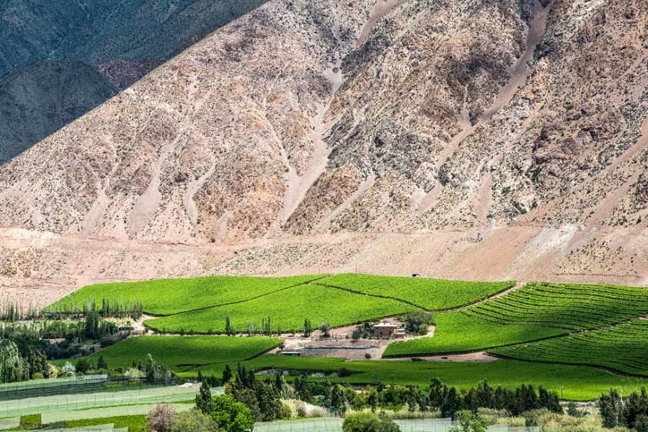 Visite d'un domaine viticole