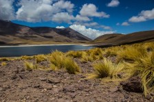 Les lagunes de Miscanti et Miñique