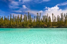 Découverte de l'île des pins