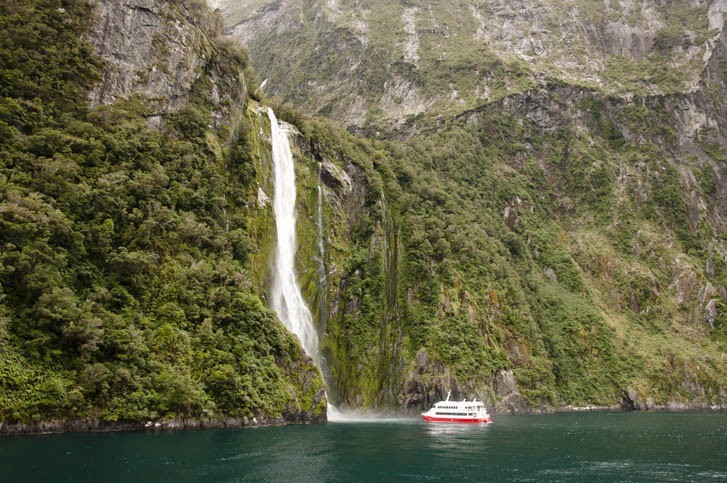 Croisière sur le Milford Sound