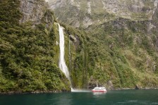 Croisière sur le Milford Sound