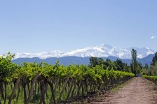 Découverte de Mendoza