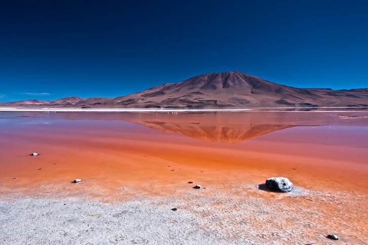 Découverte de la Laguna Colorada