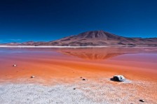 Découverte de la Laguna Colorada