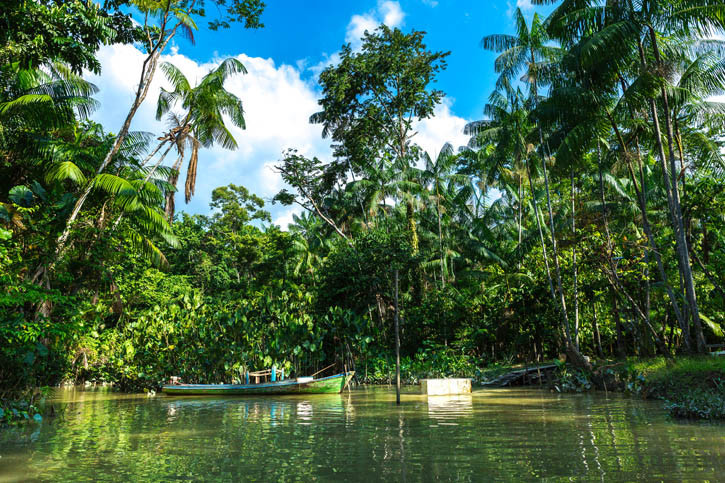 Croisière en Amazonie