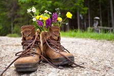 Chaussures de marche