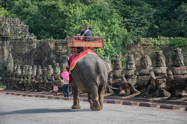 Balade à dos d'éléphant