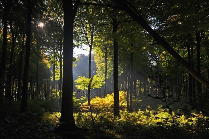 Découverte des Parcs Nationaux