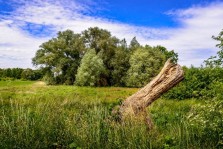 Visite de réserves naturelles