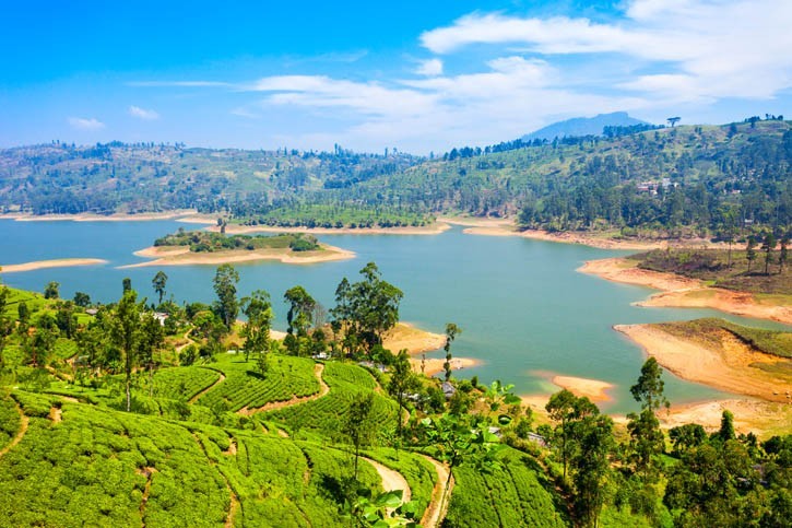 Voyage au Sri Lanka