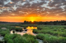 Visite du Parc Kruger