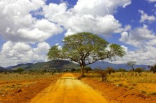 Voyage au Kenya