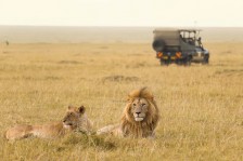 Safari dans le Parc d'Amboseli