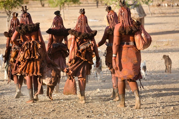 Visite d'un village Himba
