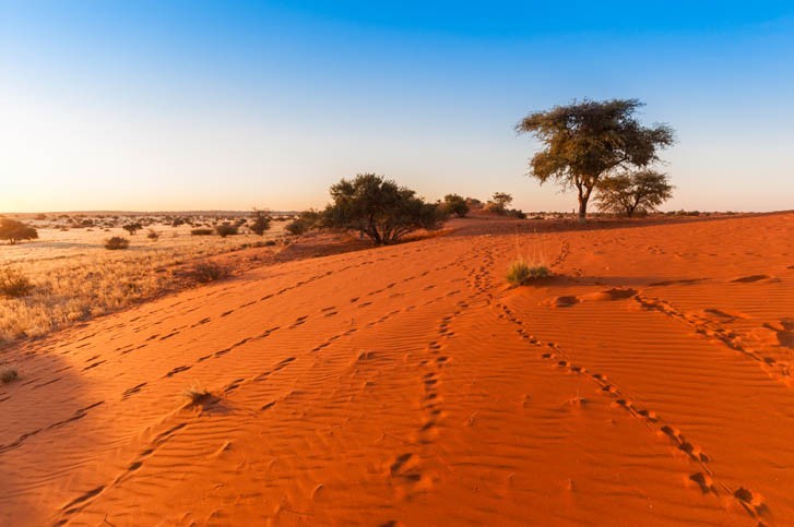 Escapade lisière du désert du Kalahari