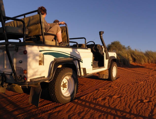 Safari en 4x4 au Kalahari