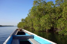 Excursion au Delta du Saloum