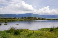 Visite du Parc National du Lac de Manyara