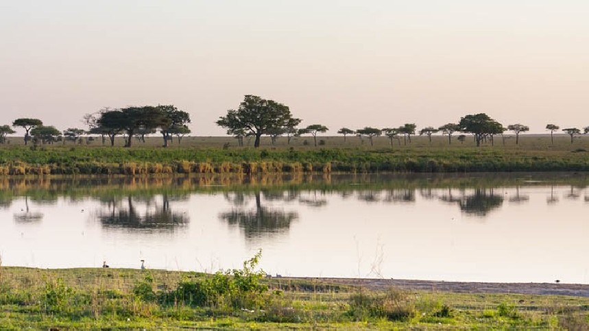 Safari dans le parc du Serengeti