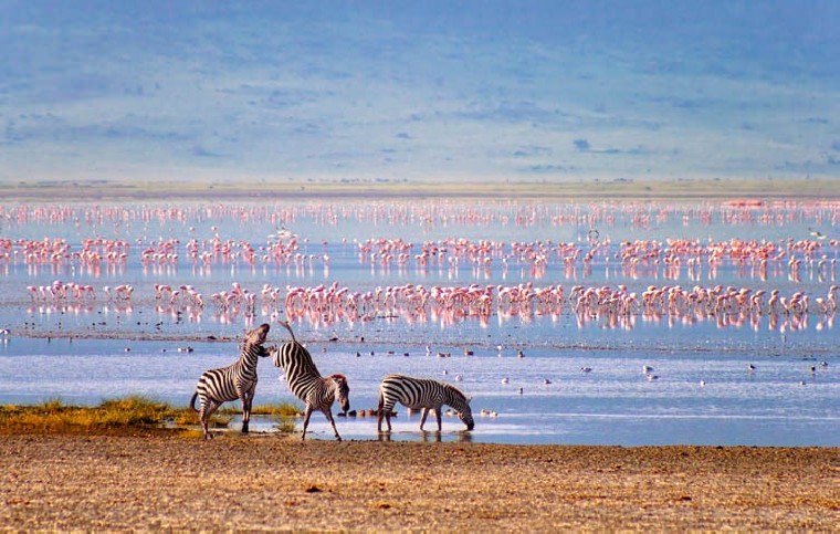 Excursion Conservation de Ngorongoro