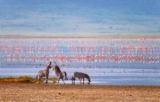 Excursion Conservation de Ngorongoro