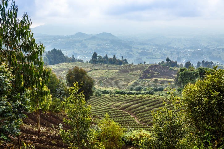 Escale au Rwanda