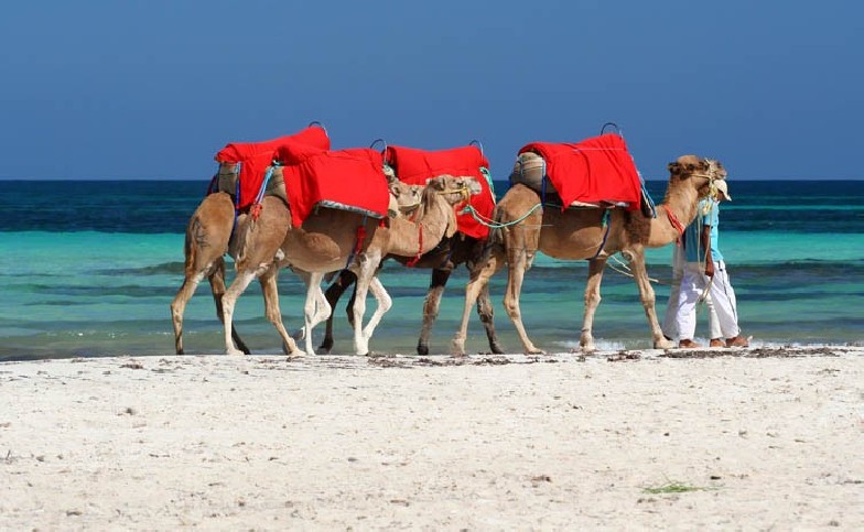 Visite de Djerba