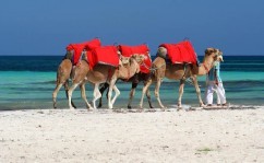 Visite de Djerba