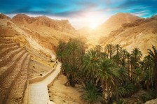 Excursions dans des Oasis et Canyons