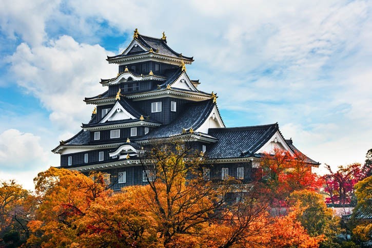 Découverte du Jardin d'Okayama