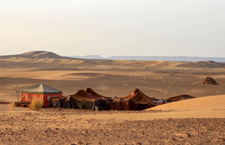 Déjeuner dans un camp bédouin