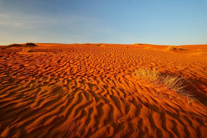 Découverte du Désert de Wahiba