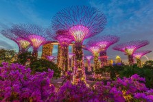 Visite du Jardin Extraordinaire de Singapour