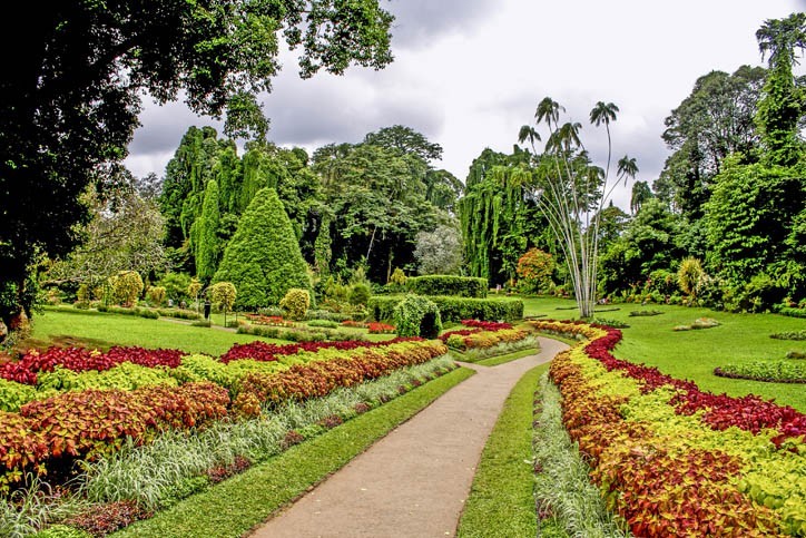 Découverte du jardin botanique de Peradeniya