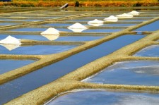 Découverte des marais salants