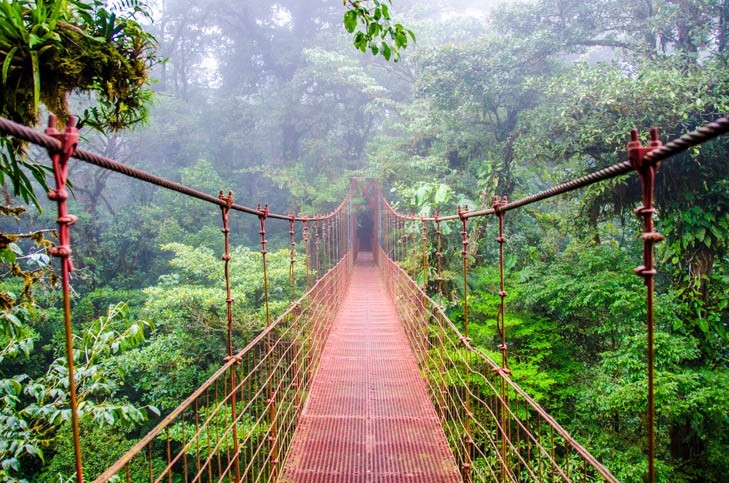 Visite Monteverde