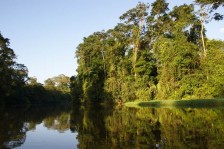 Visite de Tortuguero